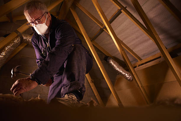 Best Insulation for New Construction  in Towaco, NJ